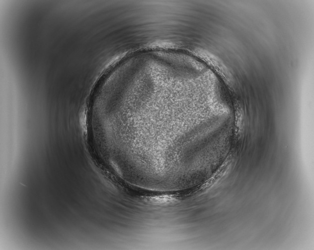 X0000094080112200711021520