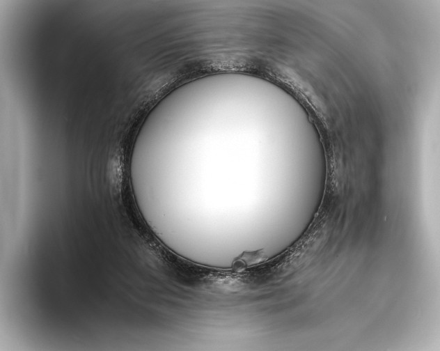 X0000094080113200711021520