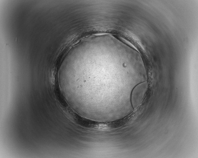 X0000094080114200711021520