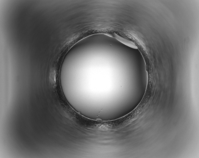 X0000094080115200711021520
