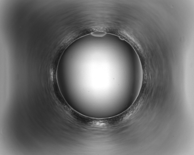 X0000094080117200711021520