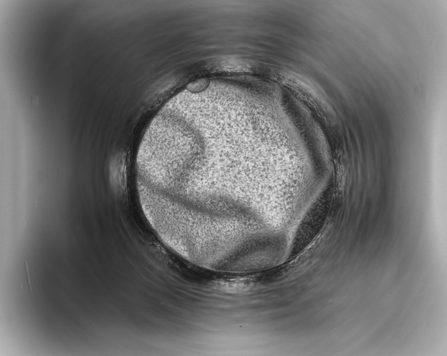 X0000094080120200711021520