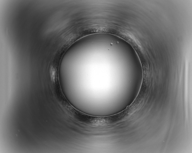 X0000094080123200711021520