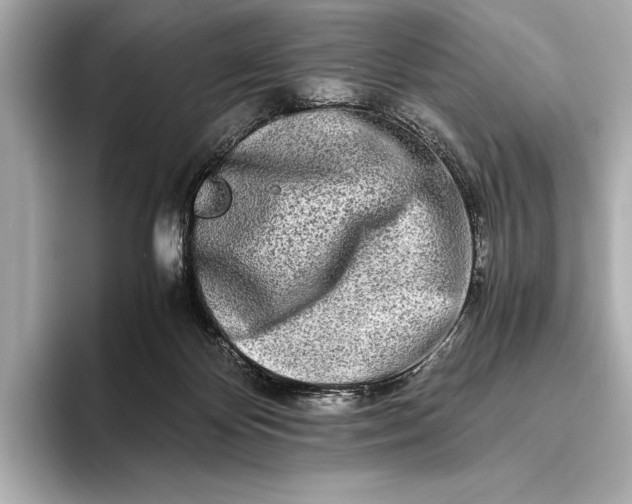 X0000094080124200711021520