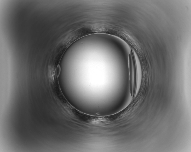 X0000094080125200711021520