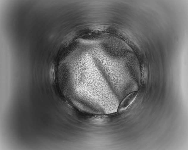 X0000094080128200711021520