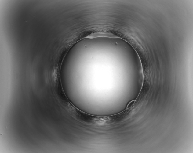 X0000094080131200711021520