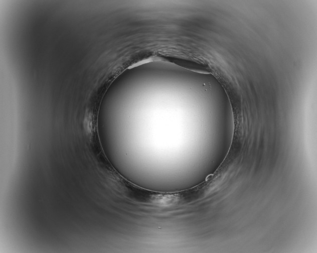X0000094080135200711021520