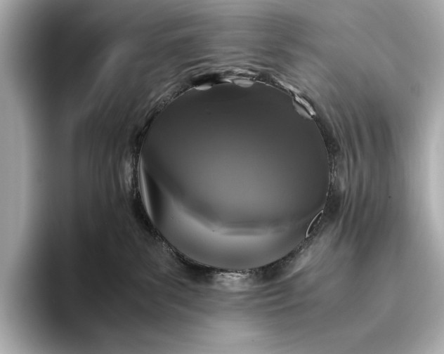 X0000094080139200711021520