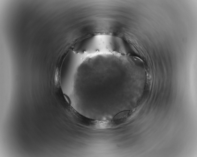 X0000094080143200711021520