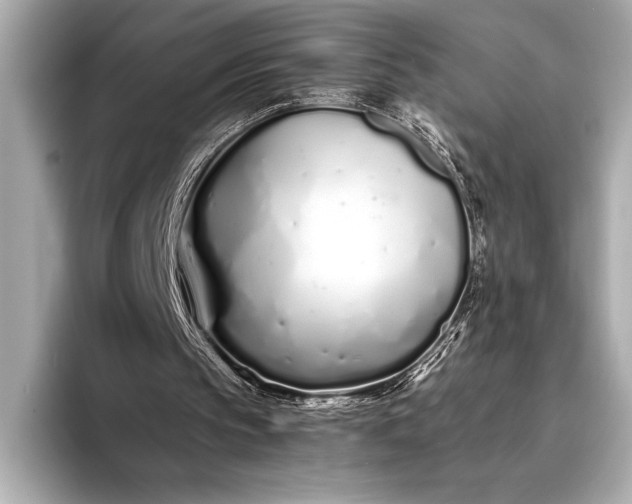X0000094080145200711021519