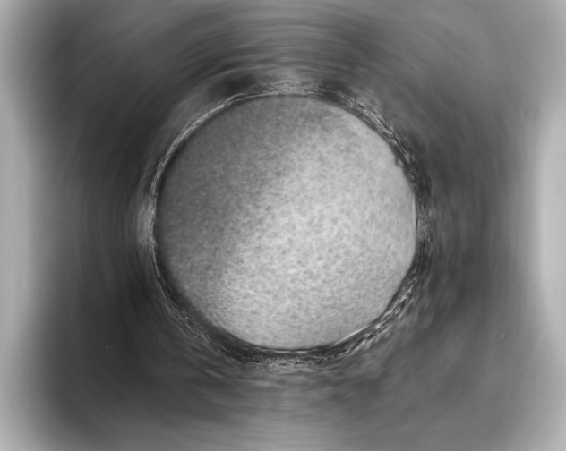 X0000094080146200711021519