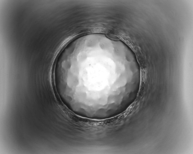 X0000094080147200711021519
