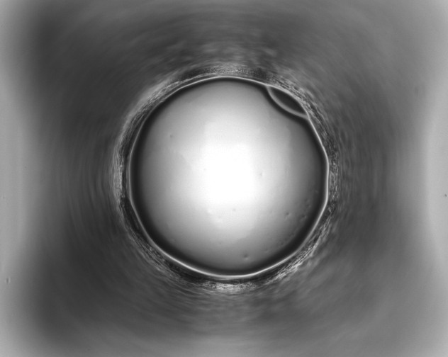 X0000094080149200711021519
