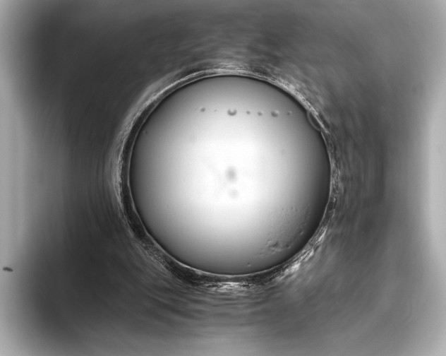 X0000094080151200711021519