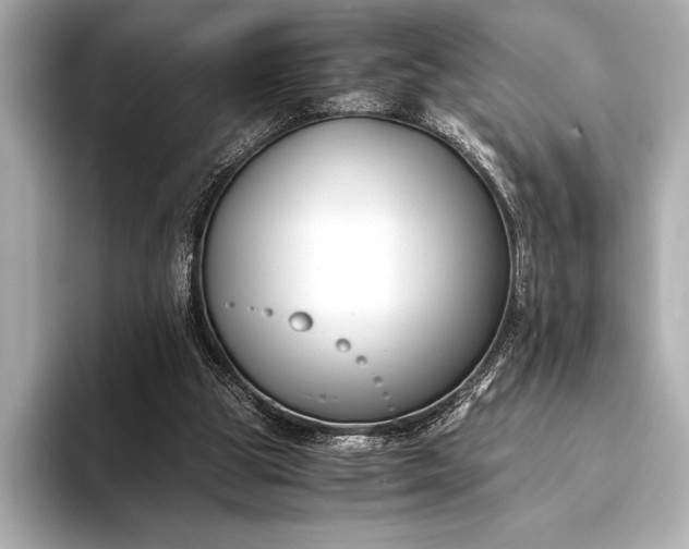X0000094080153200711021519