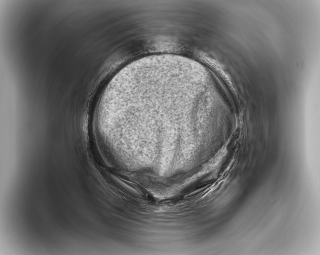 X0000094080154200711021519