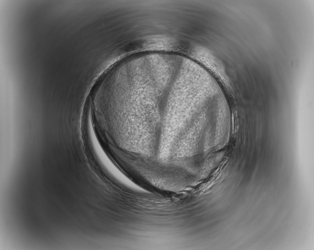 X0000094080156200711021519