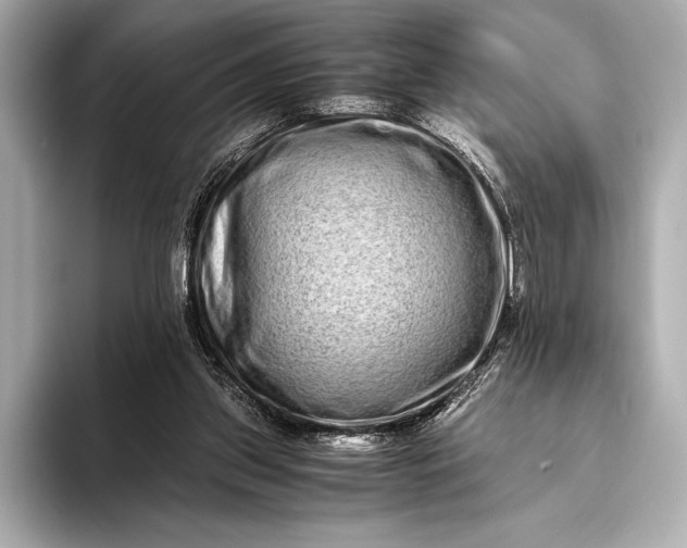 X0000094080157200711021519
