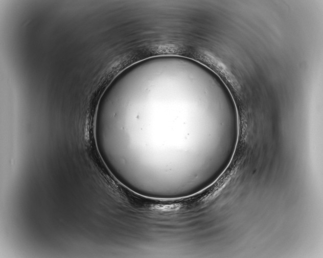 X0000094080161200711021519