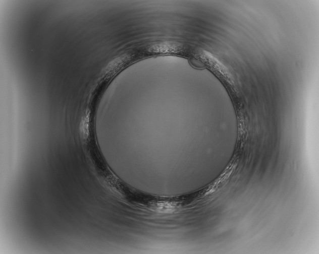 X0000094080163200711021519