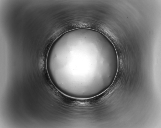 X0000094080165200711021519
