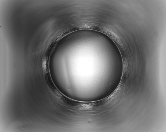 X0000094080166200711021519