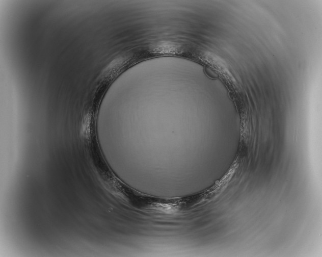 X0000094080167200711021519