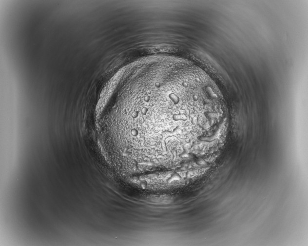 X0000094080169200711021519