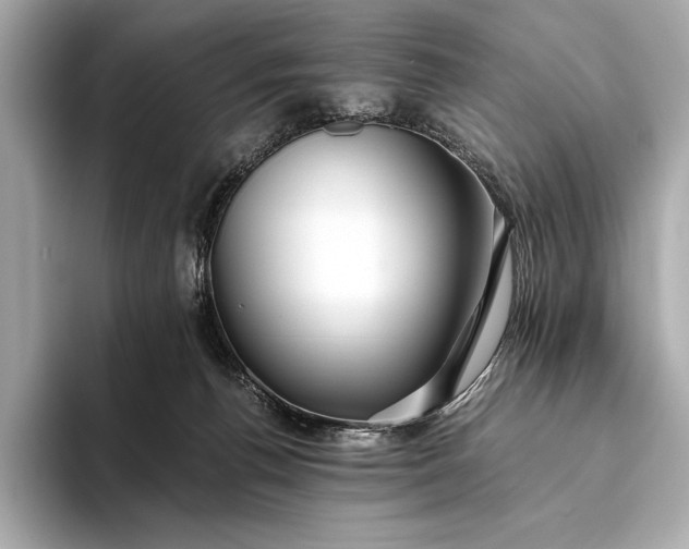 X0000094080176200711021520