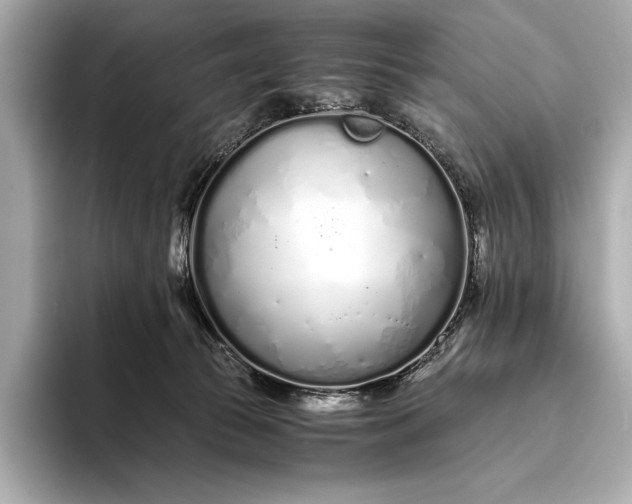 X0000094080177200711021520