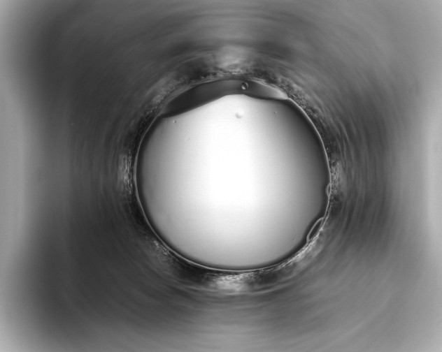 X0000094080178200711021520