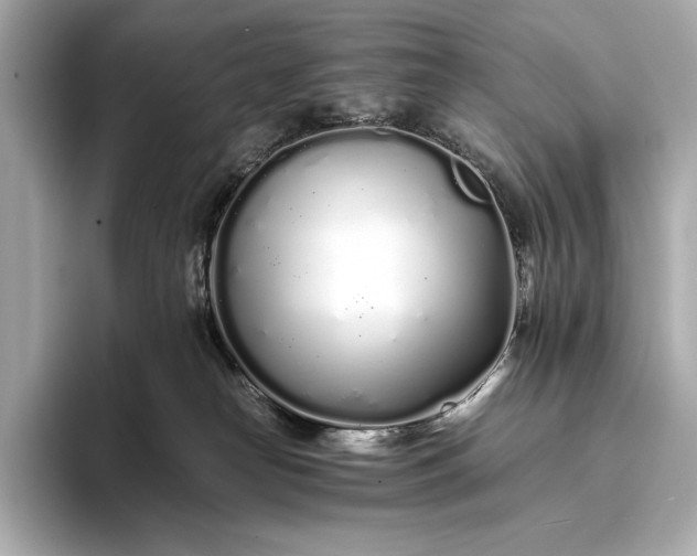 X0000094080182200711021520