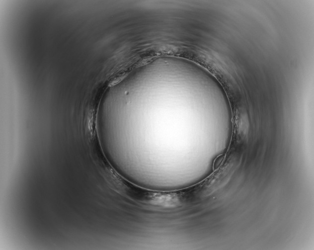 X0000094080185200711021520