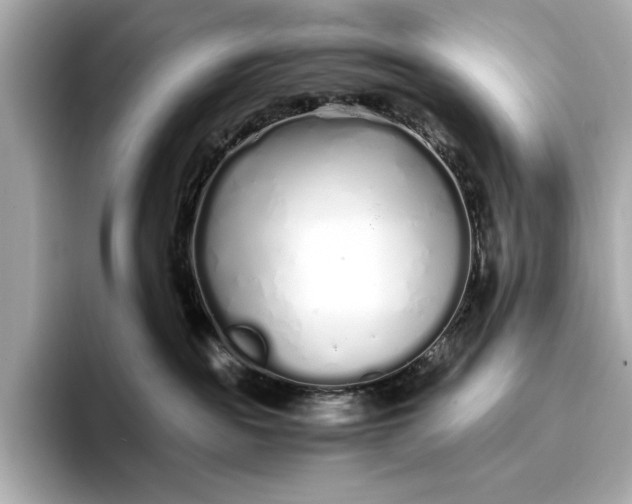 X0000094080189200711021520