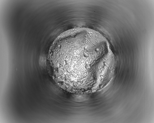 X0000094080191200711021520