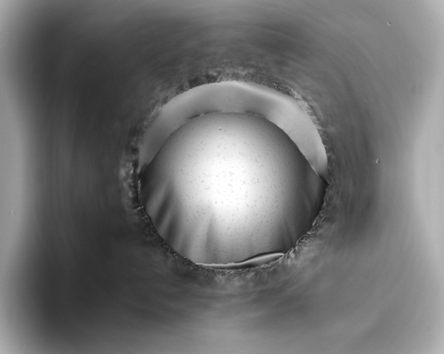 X0000094080192200711021520