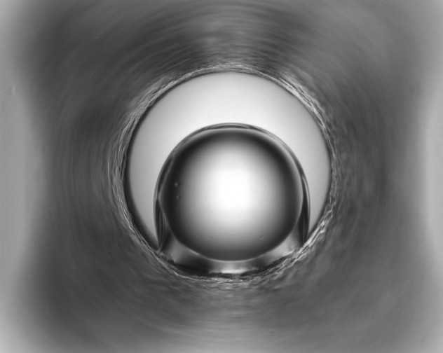 X0000094080193200711021519