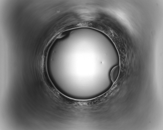 X0000094080194200711021519