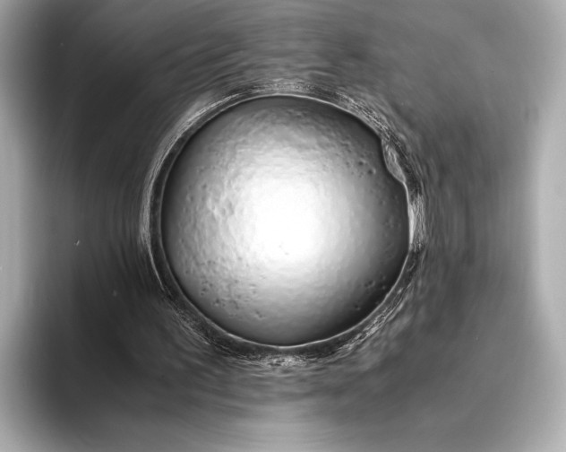 X0000094080195200711021519