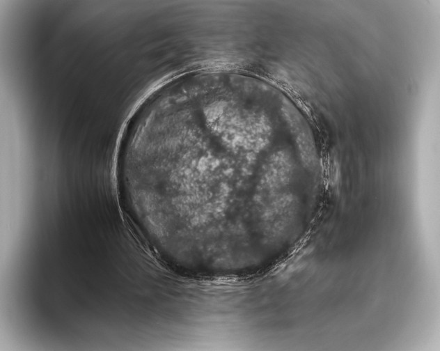X0000094080196200711021519