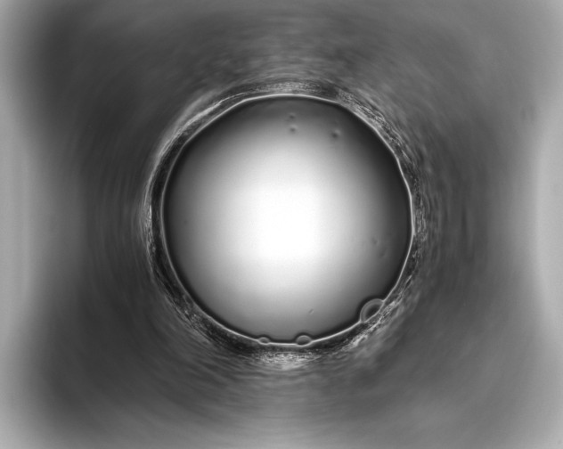 X0000094080198200711021519