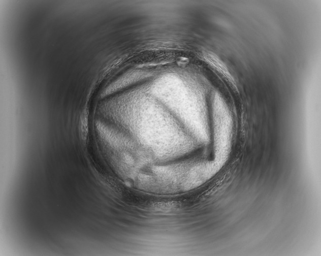X0000094080202200711021519