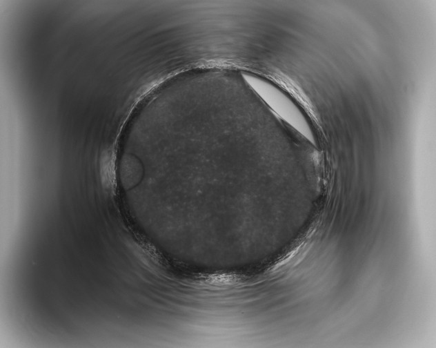 X0000094080204200711021519