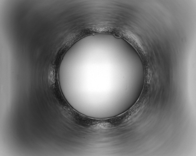 X0000094080210200711021519