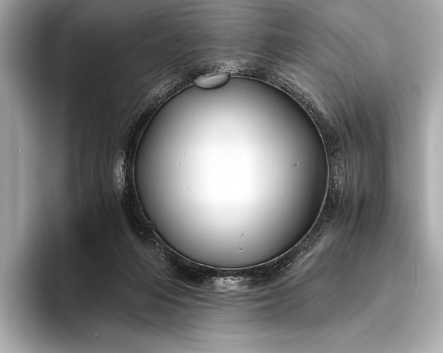 X0000094080216200711021519