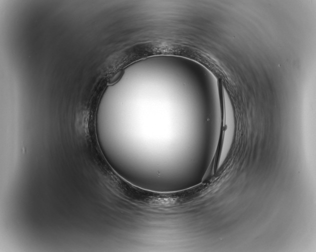 X0000094080217200711021519