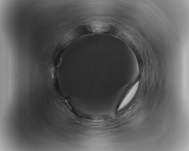 X0000094080219200711021519