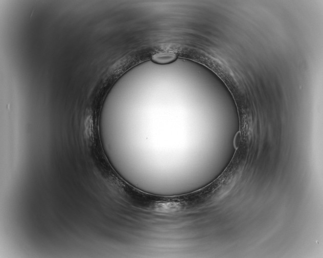 X0000094080220200711021519