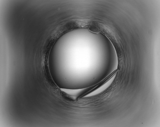 X0000094080221200711021519